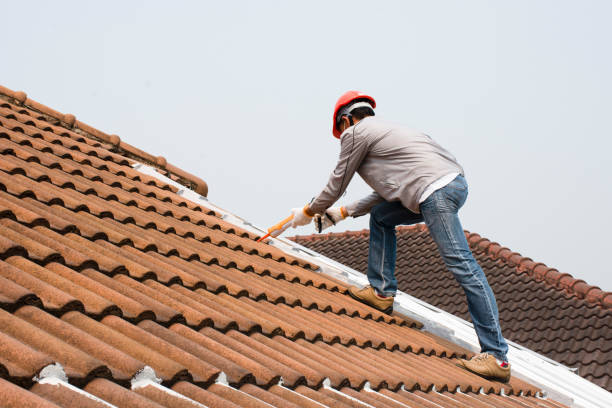 Best Roof Ventilation Installation  in East Mckeesport, PA